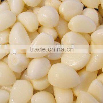 Supply IQF Frozen Garlic with high quality