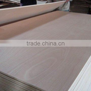 18mm bintangor plywood