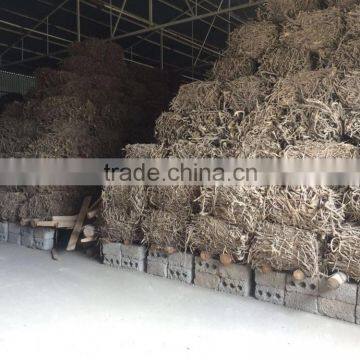 Licorice Root for Medicinal Usage photo-3