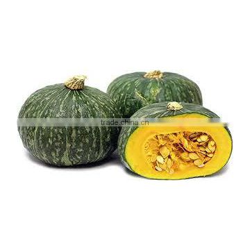 Japan Fresh Pumpkin