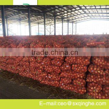 Bulk yellow fresh onion 2015