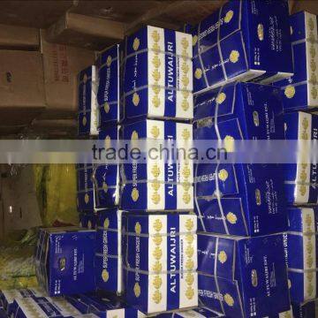 FRESH GINGER WITH PVC BOXES FOR MIDDLE EAST MARKET photo-5