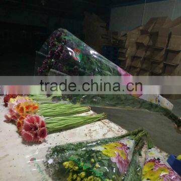 Fresh Cut Flower Gerbera