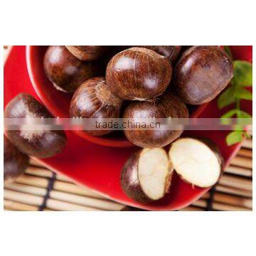 Chinese Fresh Chestnuts, Sweet and Easy Peeling photo-2