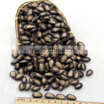 WHOLESALE BLACK WATERMELON SEEDS MEDIUM SIZE