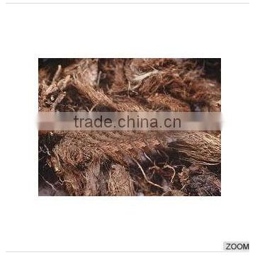 Factory wholesale Spikenard oil/ Jatamansi oil /Aralia oil with best quality in China