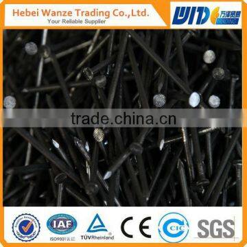 Galvanized Common Nails/ Concrete Nails/Roofing Nails