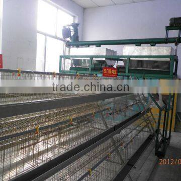 automatic cage system for layer chicken