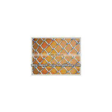 selling iso 9001 diamond fabric temporary garden fence netting(factory&manufacturer)/ electric fence poultry