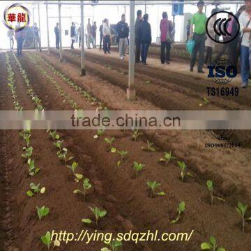 2ZBZ-2A Self-propelled Vegetable Transplanting Machine Vegetable Transplanter photo-4