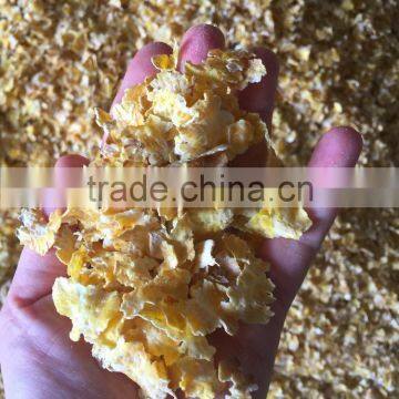 CORN FLAKE MACHINE FOR ANIMAL FEED photo-2