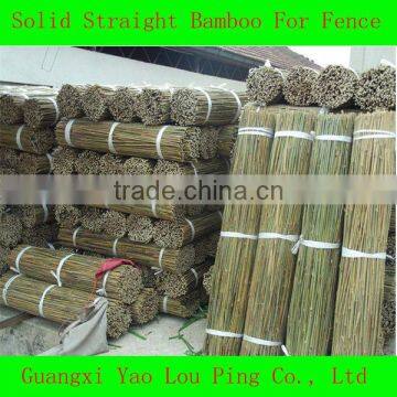 Bamboo Poles Canes Sticks