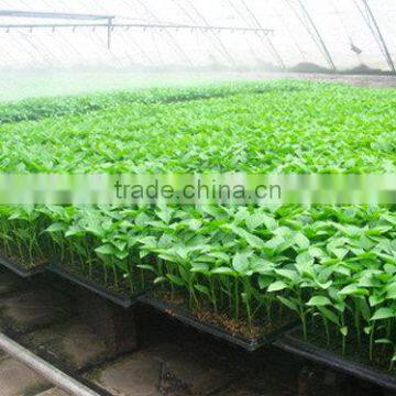 Direct Factory Price Crazy Selling Low Price Seedling Tray photo-3