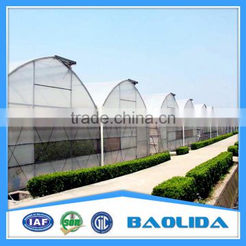 Tunnel greenhouse for plants