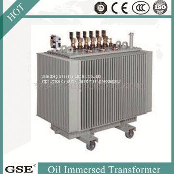 Power Transformer/Oil Immersed Power Distribution Transformer/800kVA Transformer photo-2