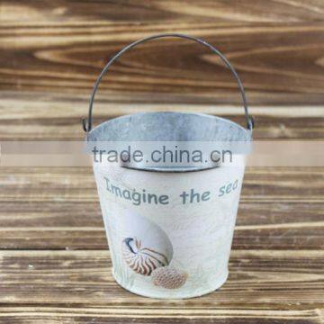 2014 autumn conch design buckets ice buckets for sale