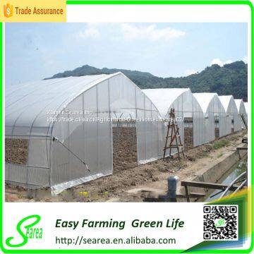 Greenhouse Made in Searea Greenhouse photo-4