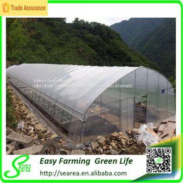 solar greenhouse