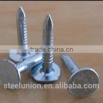 galvanized clout nails with flat head/ ROOFING CLOUT NAILS /FALT CLOUT NAILS