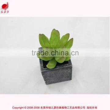 Wholesale artificial min succulents potted garden arrangement cheap mini plant