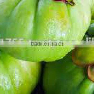 Expoter of GARCINIA CAMBOGIA EXTRACT for making slimming capsule