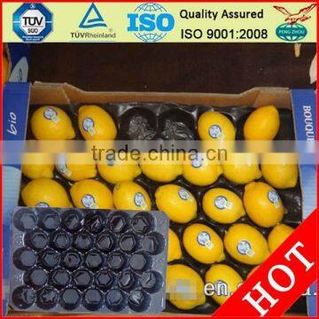 SGS/China Supplier Supermarket Displaying Fruit Tray photo-2