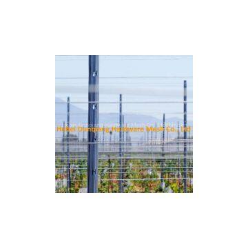 Fruit Garden Metal Grape Pole Stakes