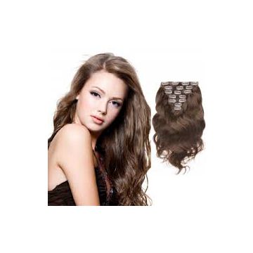 12 -20 Inch 100g Human Hair Clip In Hair Extension Indian For White Women