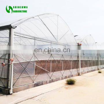 Agricultural Film Greenhouse/ Greenhouse Equipment/Greenhouse Glass Panels