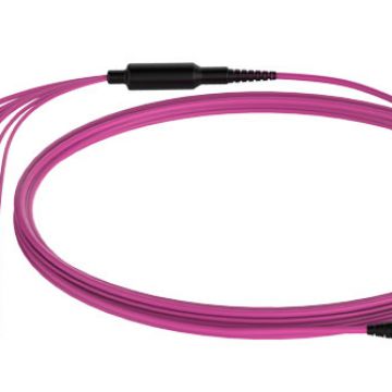 MPO-LC Breakout 8F OM4 Patch Cord