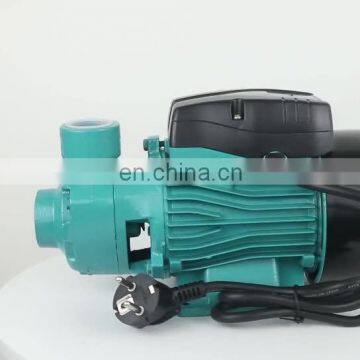 QB60 Small Electric Vortex Peripheral High Pressure Water Pump Cleaning Equipment