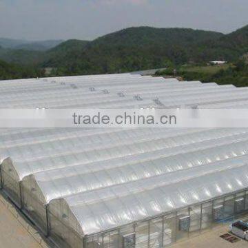 Multi span Poly Film Tunnel Greenhouse