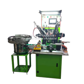 Automatic Oil Seal Trimming Machine