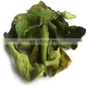 Organic Dried Lemon Leaves/Hot Sale Dried Lime Leaf/Cheap Price Lemon Leaf With Good Price From Vietnam photo-2