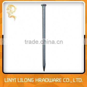 Galvanized Grooved Concrete Nail With High Quality photo-6