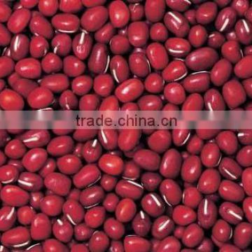 china small red beans