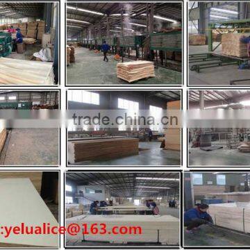 scaffold wooden board for sale /wbp gule scaffold laminated board