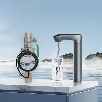 Copper silver ion physical water purifier for household water supply, no need for any additives, fast sterilization, suitable for the whole house