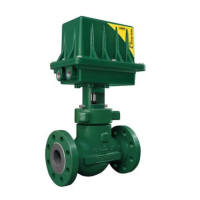 Fisher™ D4 Control Valve