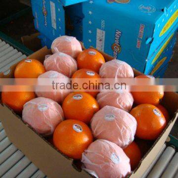 Navel Orange photo-1