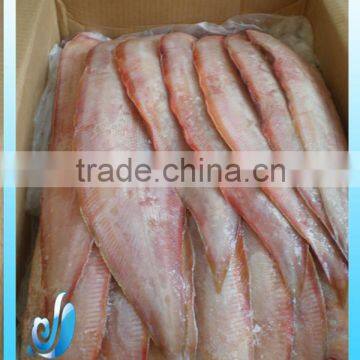 Frozen tongue sole fish