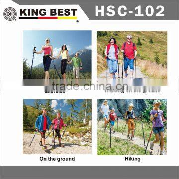 KING BEST Popular 2-SECTION Nordic Walking Stick Carbon Trekking Pole Walking Nordic Walking Stick photo-6