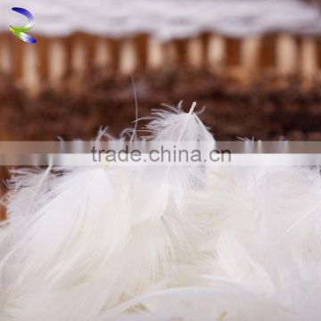 Durable nature washed white goose feather from china