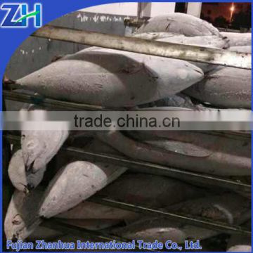 high quality fish seafood wholesale fresh frozen tuna fish price