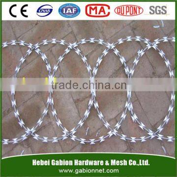 hot sale Single Loop Razor Barbed Wire