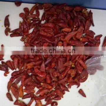 Dry Red Chili With High Quality photo-3