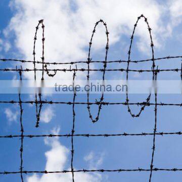 Galvanized Barbed Wire for Boundary Security System