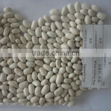 Japanese white kidney beans