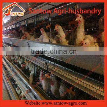 Wholesales Professional Factory Price Poultry Equipment Price