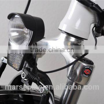 Long Range 250W Motor Suspension Electric Bike